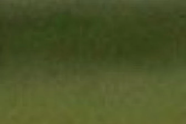 PIKSI NAŠAO NOVI KLUB: Trenira SRPSKI KLUB!