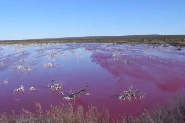(VIDEO) JEZERO U ARGENTINI POSTALO RUŽIČASTO: Naizgled lepe boje, a istina je ZASTRAŠUJUĆA!