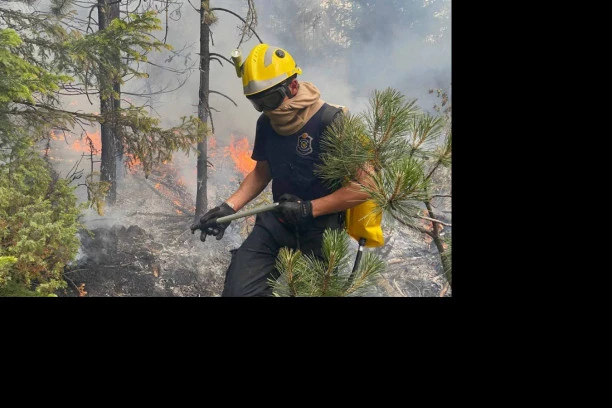 (FOTO) VANREDNA SITUACIJA U NOVOJ VAROŠI! Vatrogasci u mukotrpnoj borbi sa plamenom!