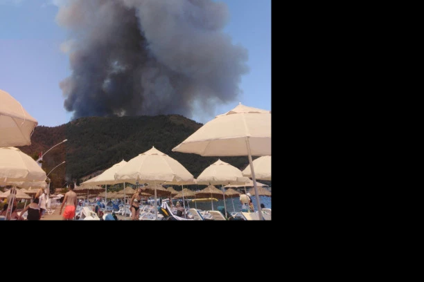 "DECA VATRE" PREUZELA ODGOVORNOST ZA IZAZIVANJE POŽARA U TURSKOJ! Kažu da Erdogan ne razume "drugi jezik"!