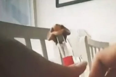 DRUŠTVENE MREŽE GORE ZBOG TRIKA SA PEZ BOMBONAMA: Proverili smo da li je reč o običnoj prevari, ovo je rezultat! (VIDEO)