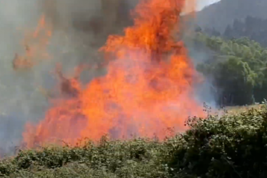 (FOTO) ITALIJA KAO U PAKLU: Bukti 15 požara na Siciliji!