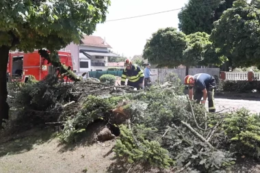 (VIDEO) APOKALIPSA U HRVATSKOJ! NAKON RAZORNOG ZEMLJOTRESA SNAŽNO NEVREME POGODILO PETRINJU: Letelo drveće, vatrogasci na terenu!