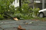 (VIDEO) VETAR LOMIO DRVEĆE I GRANJE: Snažno nevreme DEMOLIRALO grad, KROV škole ODLETEO, kiosci se PREVRTALI!