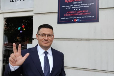 Đurđev i Srpska liga otkrili spomen ploču Vudru Vilsonu u Novom Sadu