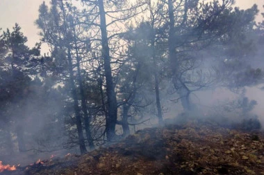 VELIKI POŽAR KOD SPLITA! 36 vatrogasnih ekipa na terenu!