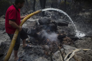 GRČKOJ POSLE POŽARA STIŽE NOVA POŠAST! Zastrašujuće upozorenje stručnjaka! (FOTO)