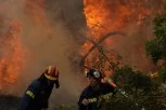 VELIKI ŠUMSKI POŽAR ZAHVATIO POZNATO GRČKO OSTRVO! Više od 80 vatrogasaca bori se sa vatrenom stihijom