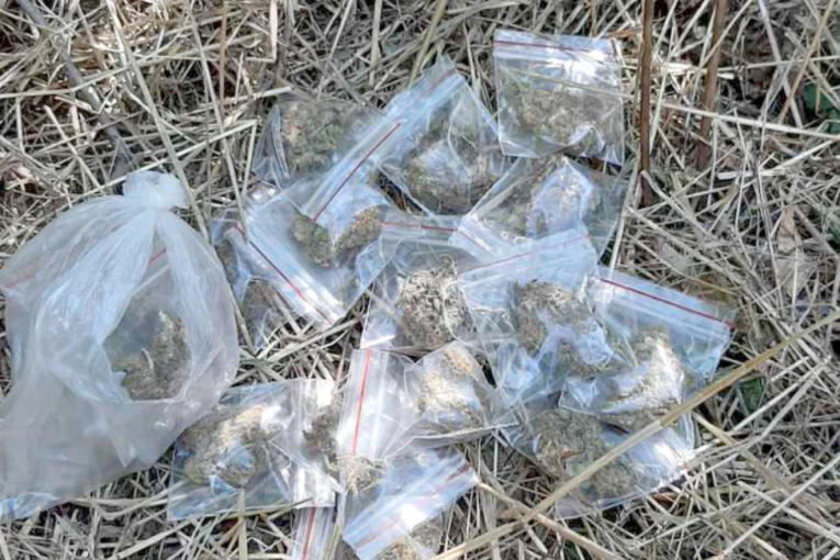 UHVAĆENO DETE KOJE ŠVERCUJE DROGU U BEOGRADU! Krio je u šumi na Koštnjaku!