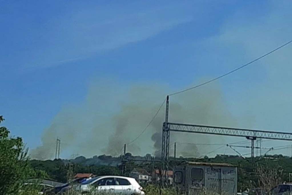 GORI ŠUMA KOD RESNIKA: Požar preti da ugrozi kuće u blizini! (FOTO)