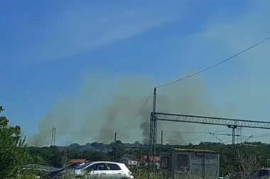 GORI ŠUMA KOD RESNIKA: Požar preti da ugrozi kuće u blizini! (FOTO)