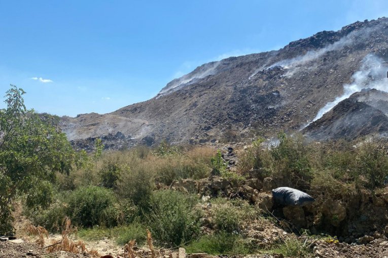 Jedan deo tretiran je mešavinom vode i algi