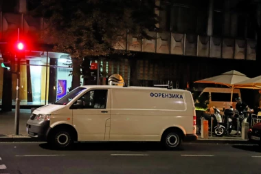 ZET GLUMICE PAO ZBOG UKRADENE SLIKE: Detalji preprodaje umetničkog dela!