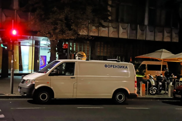 ZET GLUMICE PAO ZBOG UKRADENE SLIKE: Detalji preprodaje umetničkog dela!