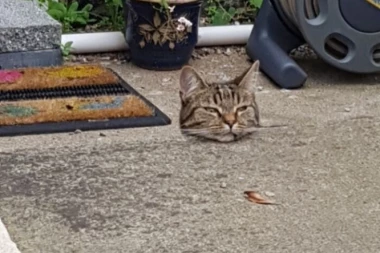 ANTISTRES TERAPIJA: Pogledajte FOTKE koje će vas naterati da se DOBRO ZAMISLITE
