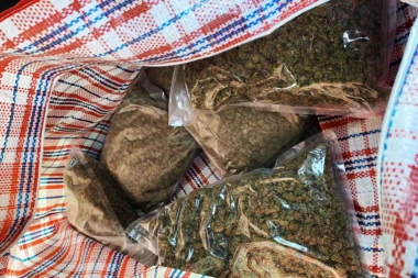 HAPŠENJE U NOVOM SADU: U automobilu pronađena droga, diler napao policajce