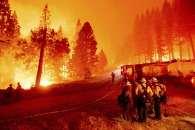 STRAVIČNE SCENE SA SEVERA ŠPANIJE, ŠUME GORE! U plamenu izgorelo preko 20.000 hektara