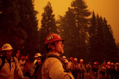 DVANAESTORO LJUDI POHAPŠENO ZBOG  POŽARA KOJI SU UNIŠTELI ŠUME! Vatrogasci se ZAPALILI tokom intervencije!