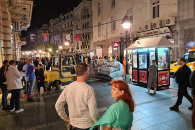 "ODAKLE OVO UOPŠTE KOD NAS?!" Uočena ČUDNA životinja ispred zgrade: Beograđanin fotografisao, neki nisu znali o čemu se radi! (FOTO)