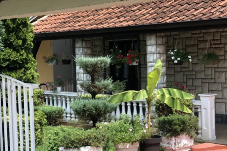 Raj za bekstvo iz velegrada: Vikendica Dejana Stankovića kod Golupca
