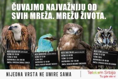 "NIJEDNA VRSTA NE UMIRE SAMA": Nova kampanja Telekoma Srbija! Čuvajmo najvažniju od svih mreža - MREŽU ŽIVOTA
