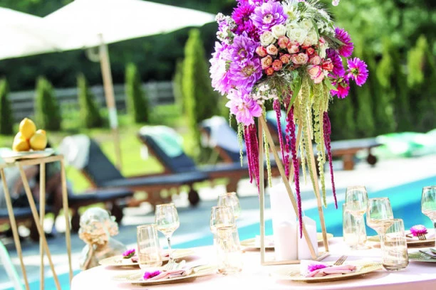 MESTO KOJE JE DOKAZ DA JE RAJ U SRBIJI: Lotus garden kao jedinstvena oaza mira, relaksacije i užitka