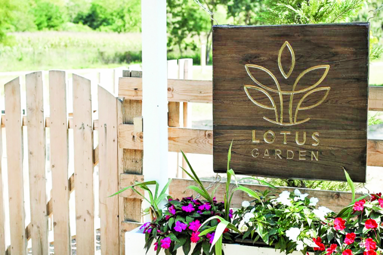 Imanje Lotus garden