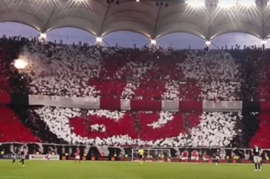 NEZAPAMĆEN GEST NA FUDBALSKIM UTAKMICAMA: Ljubitelji pasa će biti ODUŠEVLJENI!