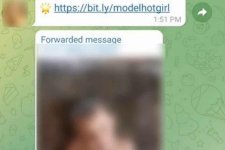 PEDOFILI DELE SNIMKE DECE NA TELEGRAMU: U "Balkanskoj sobici" jezivi sadržaj, slika golog petogodišnjaka, intimni odnosi dece...