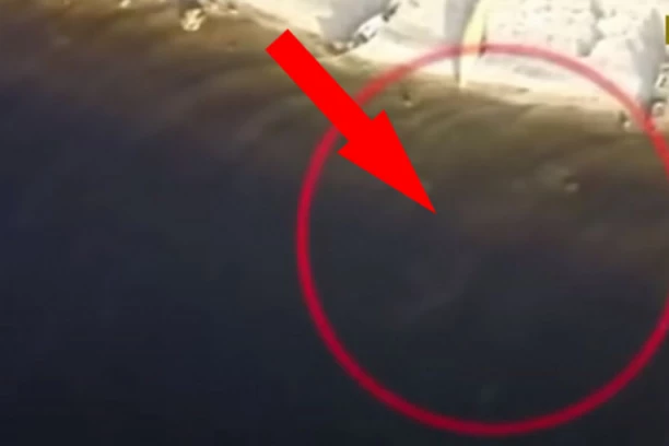 ČOVEK TVRDI DA JE DRONOM SNIMIO ČUDOVIŠTE O KOME PRIČA CEO SVET: Čudno biće misterija već vekovima (VIDEO)