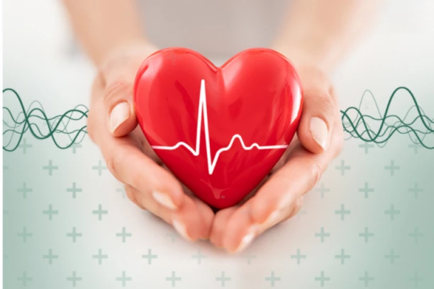 MG MIVELA POKLANJA SISTEMATSKI PREGLED SRCA ZA VAS I VAŠU PORODICU! Zašto bi svi trebalo da obeležavamo Svetski dan srca?