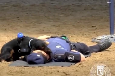 ŠTENE REANIMACIJOM SPASLO ŽIVOT POLICAJCU! Sposobnosti ovog malenog koker španijela da oživi pacijenta potpuno će vas raznežiti!