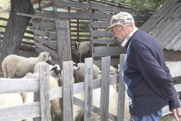MEDVEDI PUSTOŠE SRPSKA SELA! Meštani više ne znaju šta da rade, ŽIVE U SVAKODNEVNOM STRAHU!