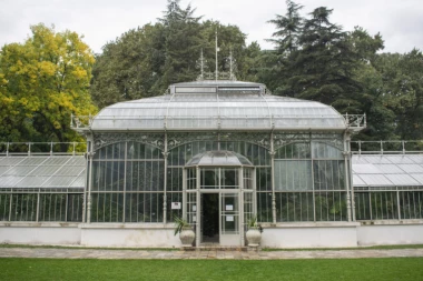 KIŠA ODLOŽILA EVERGREEN FEST U BOTANIČKOJ BAŠTI: Umesto 06.10 Evergreen Fest biće održan 23.oktobara od 16 sati