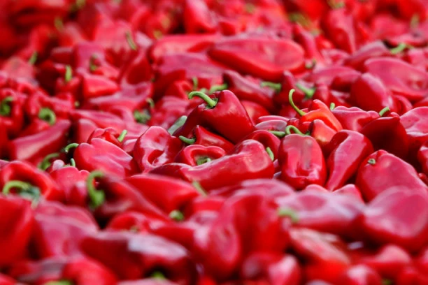 BELOLUČENA PAPRIKA: Vreme je za zimnicu, evo kako da je spremite