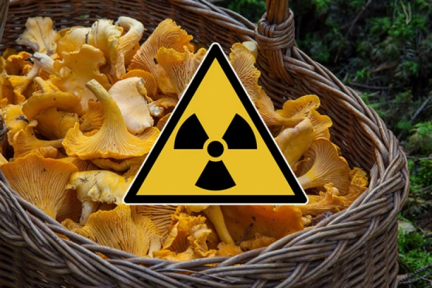 KUVARICA SMRTI! Žena otrovala porodicu pečurkama – troje MRTVIH za stolom, osuđena na doživotnu robiju!