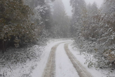 ZABELELA SE SRBIJA: Sneg već uveliko veje na Tari, meštani zimu dočekali nespremni (FOTO)