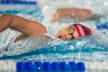 Beograd čeka nove plivačke medalje
