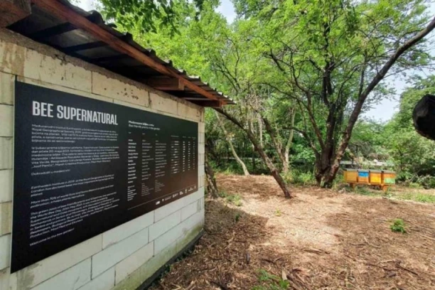 OVO SE NE PROPUŠTA: Velika prezentacija dorćolskog meda, BIĆE I DEGUSTACIJA!