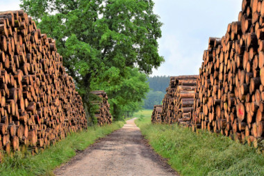 PALA CENA OGREVA: Metar drva u Beogradu tri puta jeftiniji nego prošlog meseca