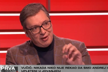 LJUDI IZ POLICIJE SU SARAĐIVALI SA STRANIM SLUŽBAMA! Vučić otkrio ko je pratio njegovog sina: Gde god da je Danilo otišao, izlazila bi njegova slika!
