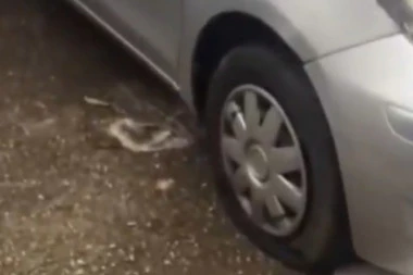 KOME JE OVO PALO NA PAMET? Izbušene gume na SVIM AUTOMOBILIMA parkiranim na placu u Vojvode Stepe (VIDEO)
