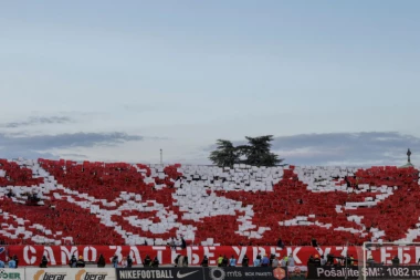 DELIJE U EUFORIJI: Francuska ZVER dobro poznatog imena u Zvezdi?