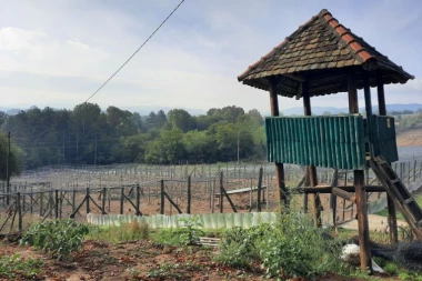 Izgradnja uzgajališta fazana i jarebica u cilju očuvanja biodiverziteta lozničkog kraja