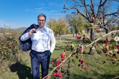 Vučić objavio fotografiju iz srca Šumadije: Srbi hrle u Beč, Pariz i Njujork, ALI LEPOTA SRBIJE OSTAĆE VEČNA!