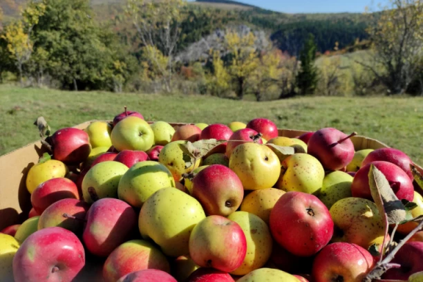 LETOVANJE UZ VAUČERE SKUPLJE: Ugostitelji koriste veliku navalu da dodatno zarade