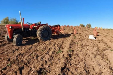 Najskuplja njiva u Srbiji prodata za neverovatnih 2,36 miliona evra! Najbolje postignuta cena ikad u zemlji!