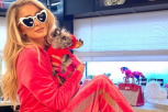Paris Hilton pala u DEPRESIJU! Nestao joj pas, MOLI za POMOĆ, angazovala DETEKTIVA za ljubimce! (VIDEO)