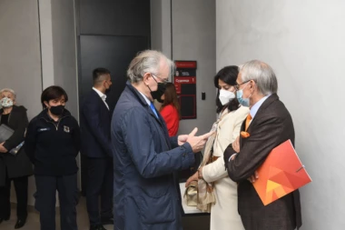 MIROSLAV I MARKO MIŠKOVIĆ STIGLI U PALATU PRAVDE! Drugostepeno suđenje za utaju poreza! EVO KAKO IZGLEDAJU I KAKO SE PONAŠAJU! (FOTO/VIDEO)