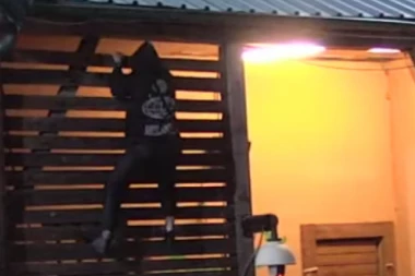 DEJAN DRAGOJEVIĆ POKUŠAO DA POBEGNE IZ ZADRUGE! Zadrugar se RASPAO, ne može više da izdrži: UZEO BIH TI POLA MUKE, DA TI BUDE LAKŠE! (VIDEO)